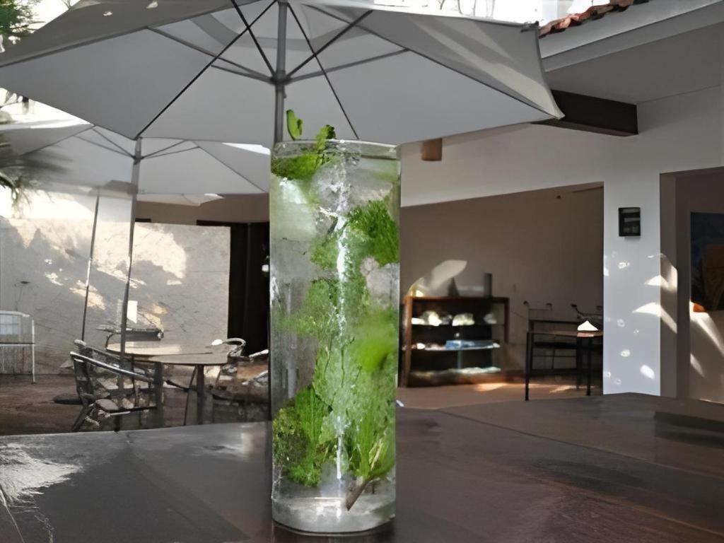 Flamingo Hotel Cozumel Ngoại thất bức ảnh