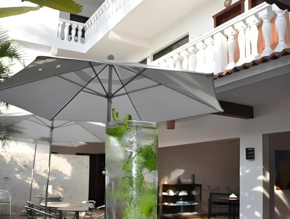 Flamingo Hotel Cozumel Ngoại thất bức ảnh